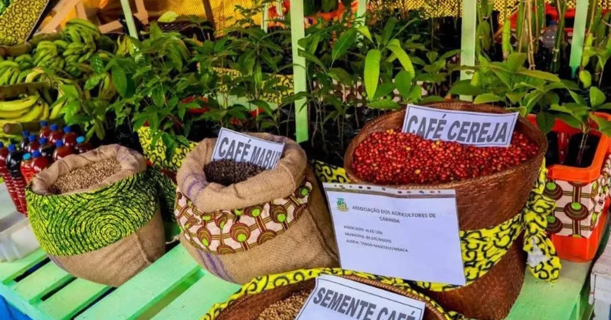 Feira de Cabinda movimenta cerca de 100 toneladas de produtos agrícolas