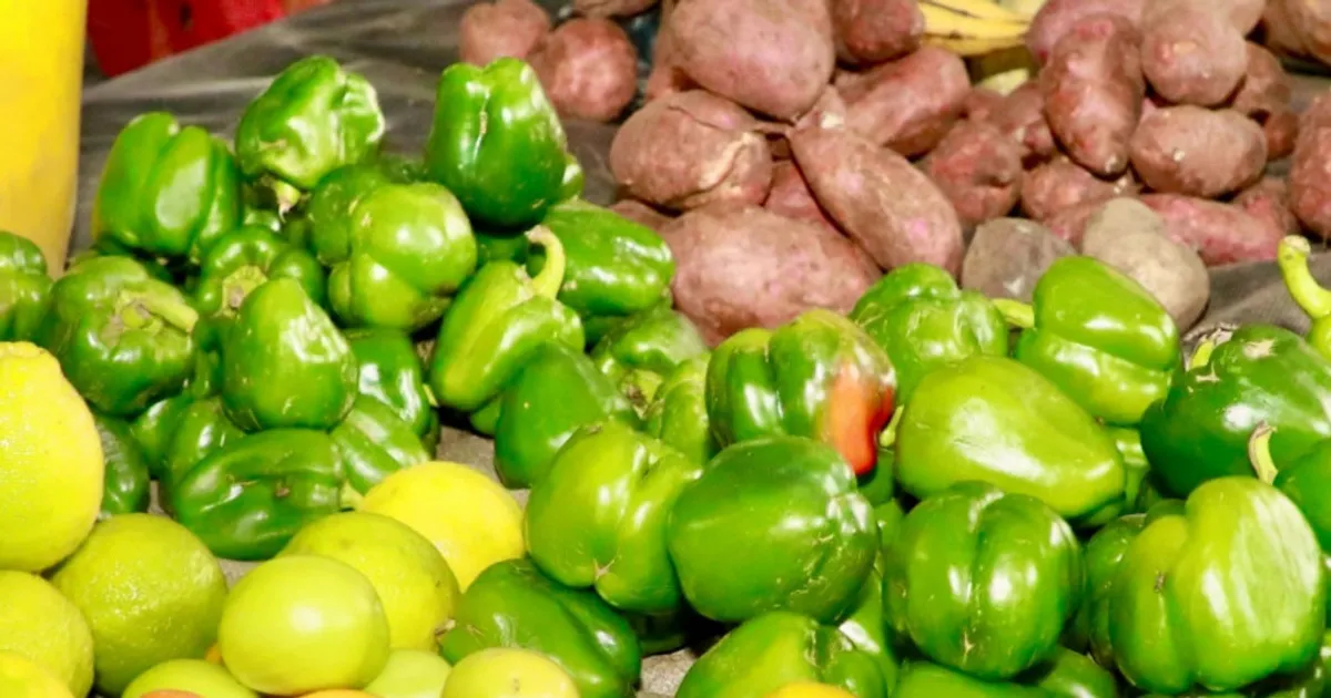 Pelo menos 15 amostras reprovam semanalmente no controlo de qualidade alimentar