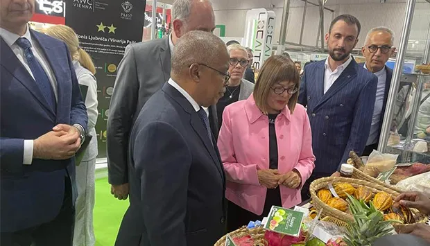 Potencialidades do Bengo atraem empresários europeus na Sérvia