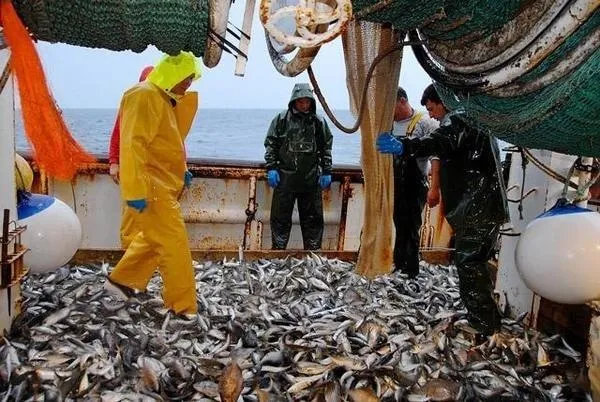 Mauritânia reforça importância estratégica do sector das pescas