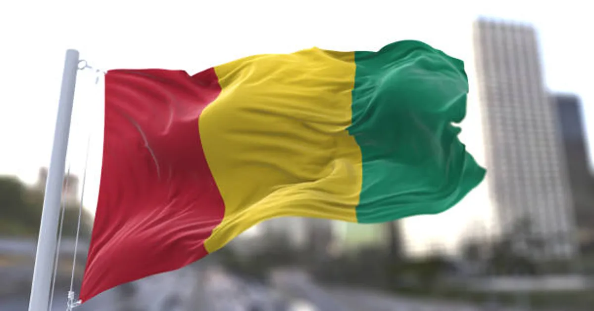 Cerca de 6,8 milhões de guineenses participam nas eleições este domingo