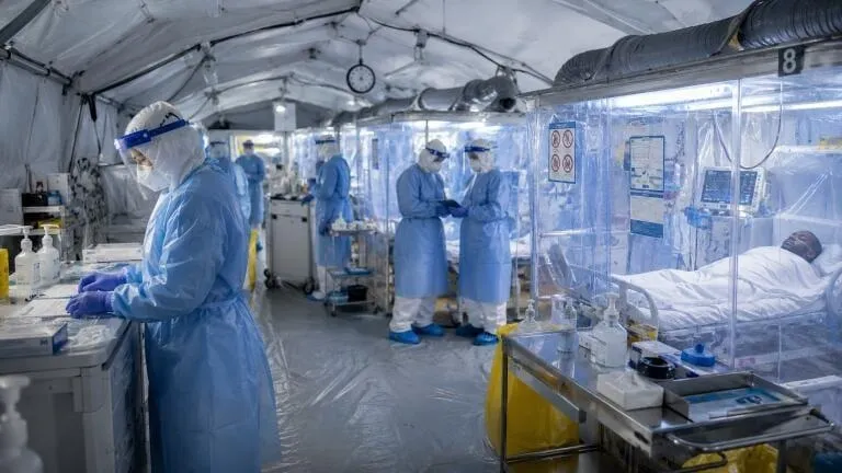 Novo estudo aponta transmissão do Ébola de animais para seres humanos