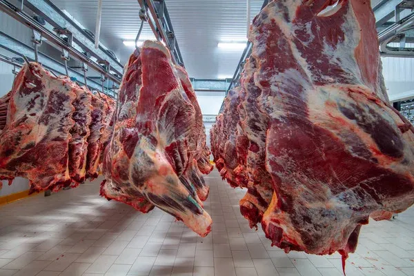 Inaugurado matadouro em Benguela
