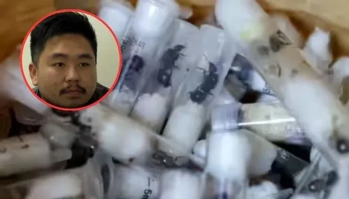 Chinês preso com duas mil formigas rainhas do Quénia