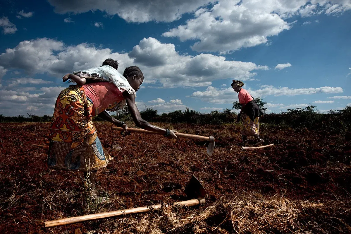 FADA reforça apoio aos produtores agrícolas na Lunda Sul e no Moxico
