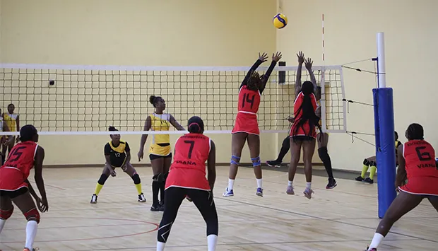 Voleibol: Federação aposta no reforço da qualidade dos treinadores