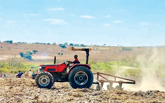 Fazenda reforça posição pelo Corredor do Lobito