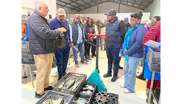 Transforma Aqui impulsiona industrialização no Namibe