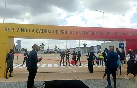 Nova cadeia de frio orçada em 2,5 milhões de dólares