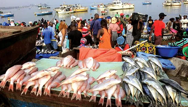 Empresas processadoras pescado: Mulheres representam 59 por cento do efectivo das