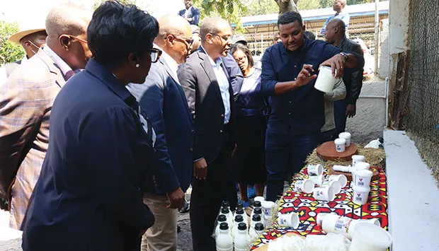 Produtores de leite procuram mercados