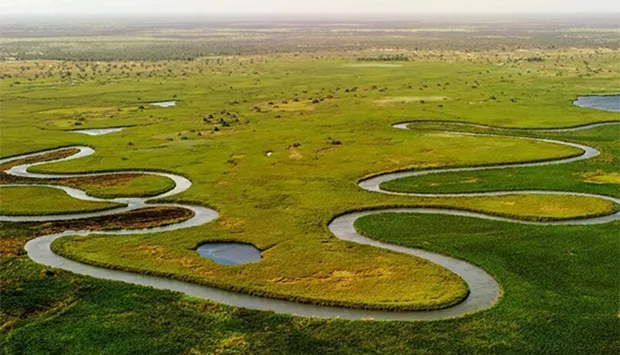 Livro sobre conservação do Okavango-Zambeze lançado em Luanda