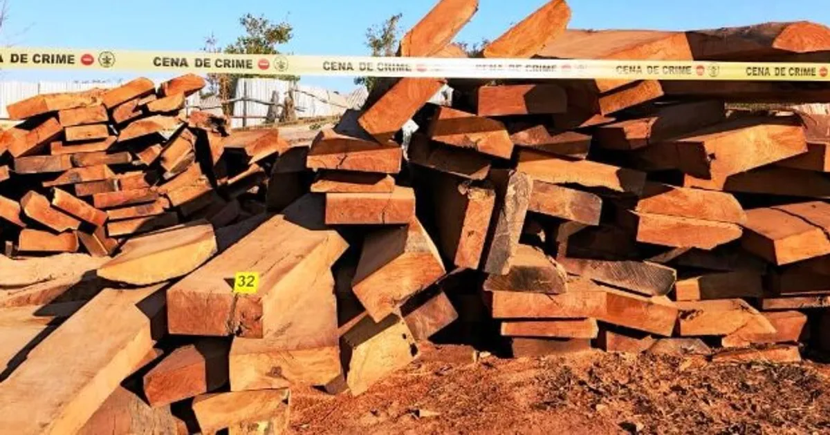 Lançado programa no Moxico para resgate dos valores e compromisso com a pátria