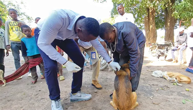 Aproximação de crianças e animais provoca alarme