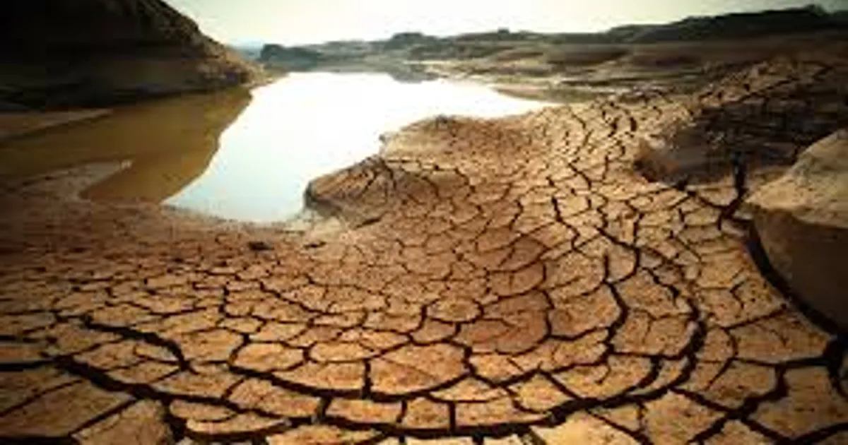 OMS alerta que crise climática "vai piorar muito"