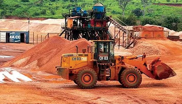Sociedade Mineira do Chitotolo quer superar 350 mil quilates/ano