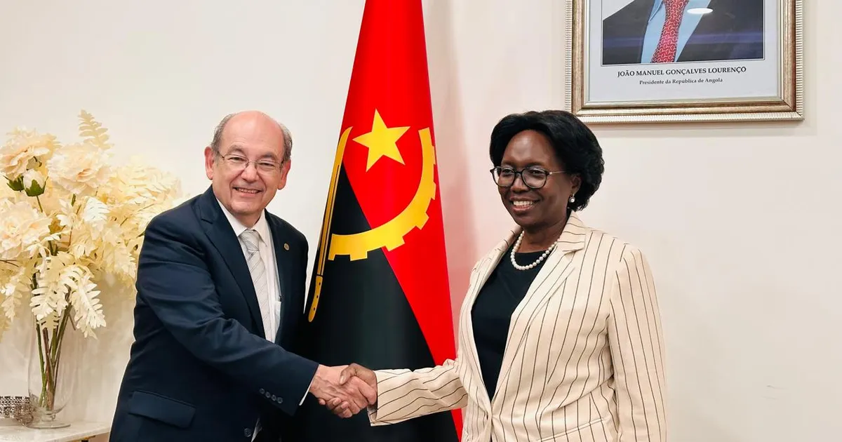 Ministra da Saúde reúne-se com presidente da Federação Mundial para o Ensino da Medicina