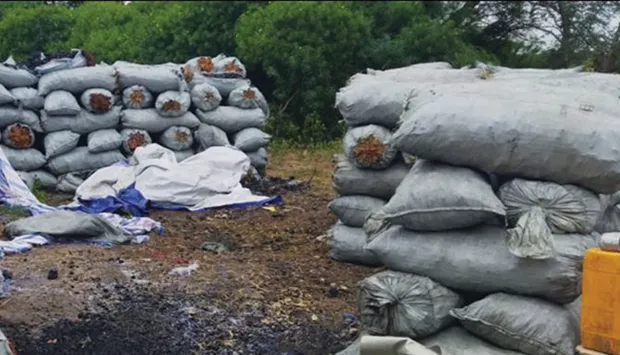 Apreendidas 80 toneladas de carvão em Menongue
