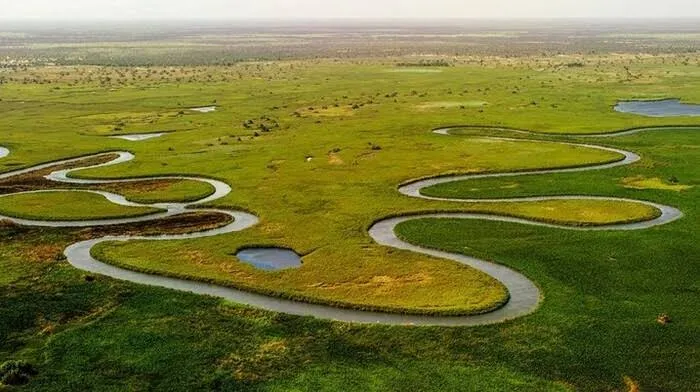 Bacia Cubango-Okavango tem protecção reforçada