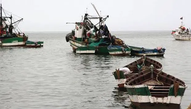 Cuanza-Sul afina medidas de combate à pesca ilegal