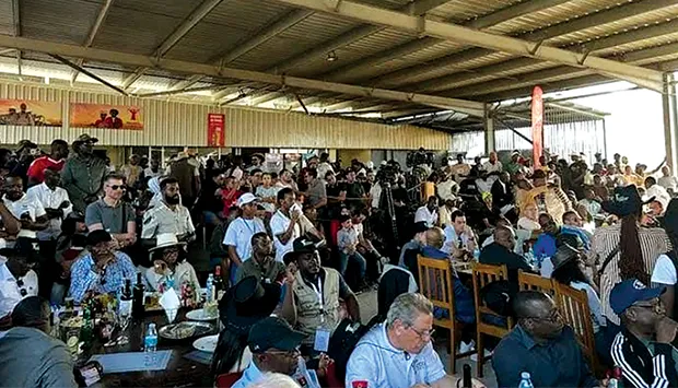 Região Sul conta com um efectivo de gado estimado em 3,3 milhões