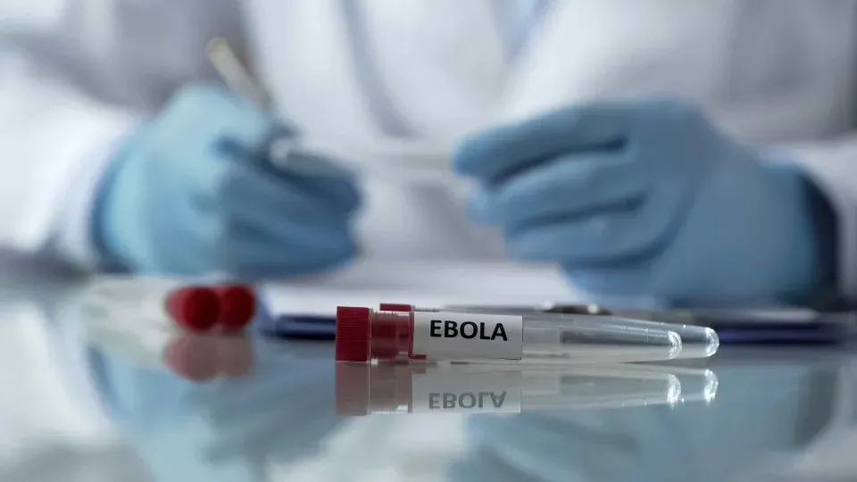 ACNUR alerta para avanço rápido de Ébola em campos de deslocados na RDC