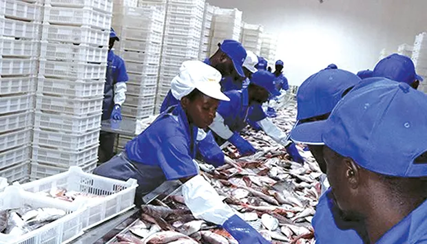 Município do Soyo licencia 766 empresas desde 2024