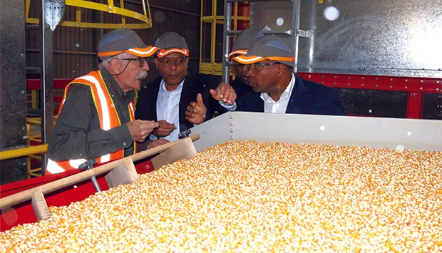 Inaugurado banco de sementes para produzir 35 mil toneladas/ano