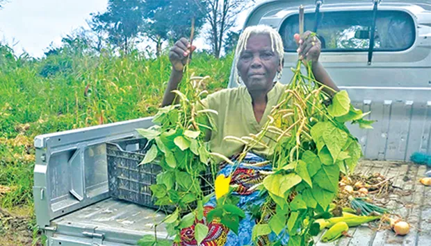 Mulheres rurais impulsionam produção agrícola e clamam por mais apoios