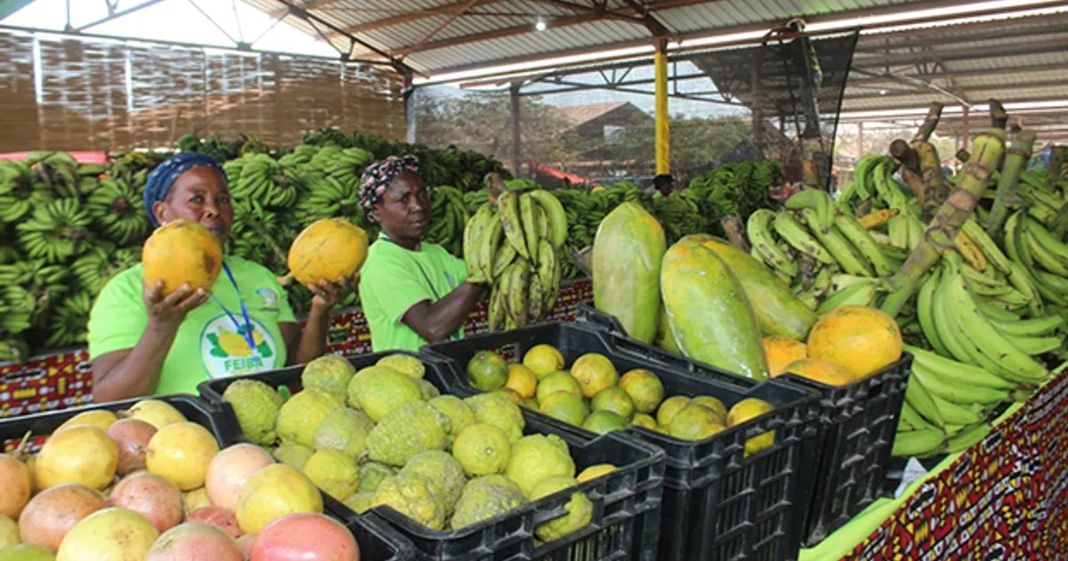 Feira da Banana é plataforma para a industrialização do país