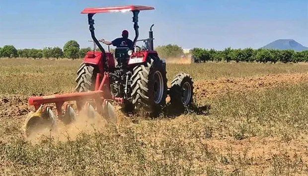 Segurança alimentar entra na grelha de doutoramento
