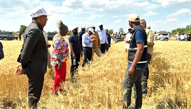 Jovens são chamados a apostar na agricultura