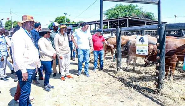 Feira Agro-Pecuária finaliza preparativos