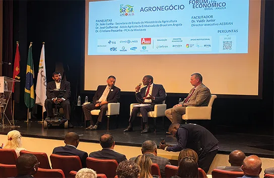 Produtos “Feito em Angola” estão cada vez mais presentes nas mesas