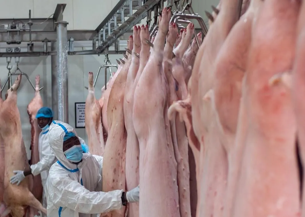 FILDA 2026: Fazenda Marsiris destaca produção de carne suína feita em Angola