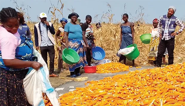 Fazenda Kabanguela prevê colher perto de 170 toneladas de produtos diversos