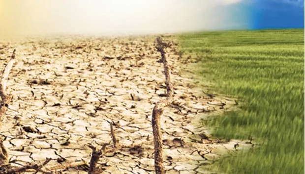 Minuto Verde preocupada com alteraçoes climáticas