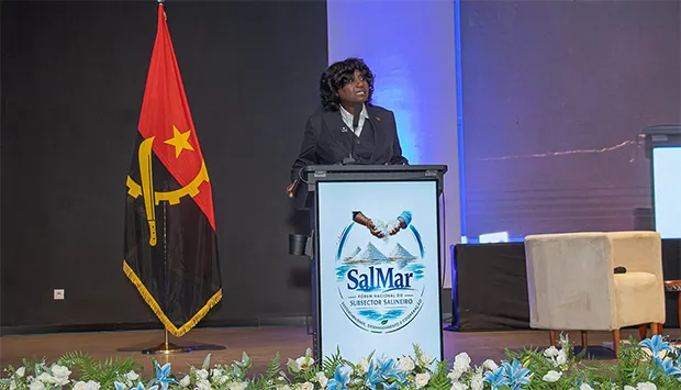 Ministra defende modernização das salinas para reforçar produção nacional