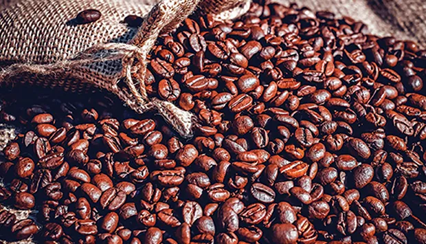Preços do café arábica registam subida na bolsa
