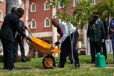 Presidente da República planta árvore no jardim da Casa das Leis