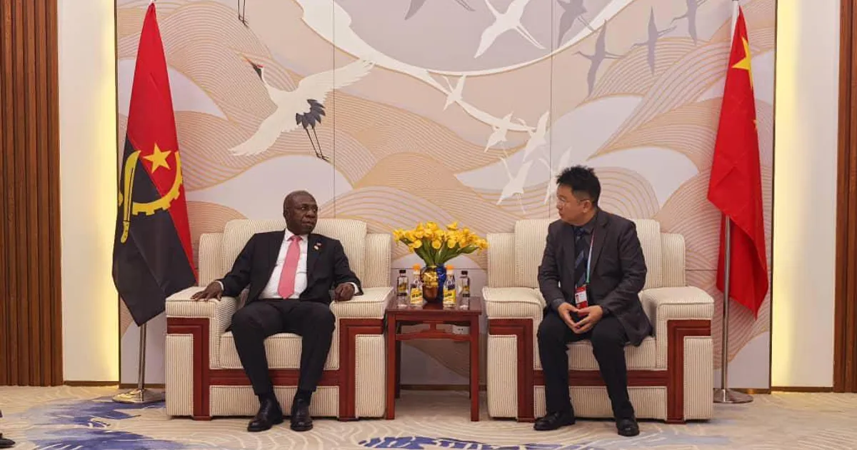 Ministro Téte António recebe empresário chinês do sector de tecnologia