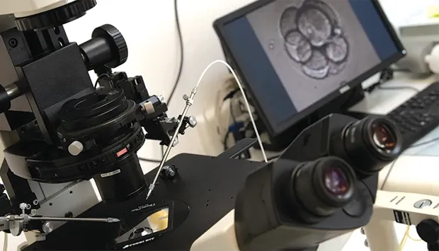 País realiza tratamentos de fertilidade considerados de alta complexidade