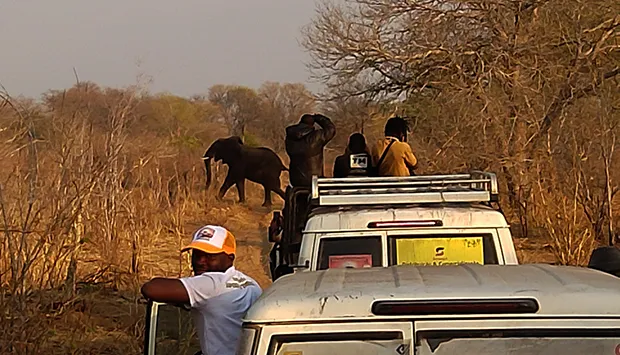 Região da Okavango-Zambeze livre de minas para a promoção do turismo