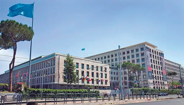 Angola reforça presença nos debates sobre segurança alimentar mundial