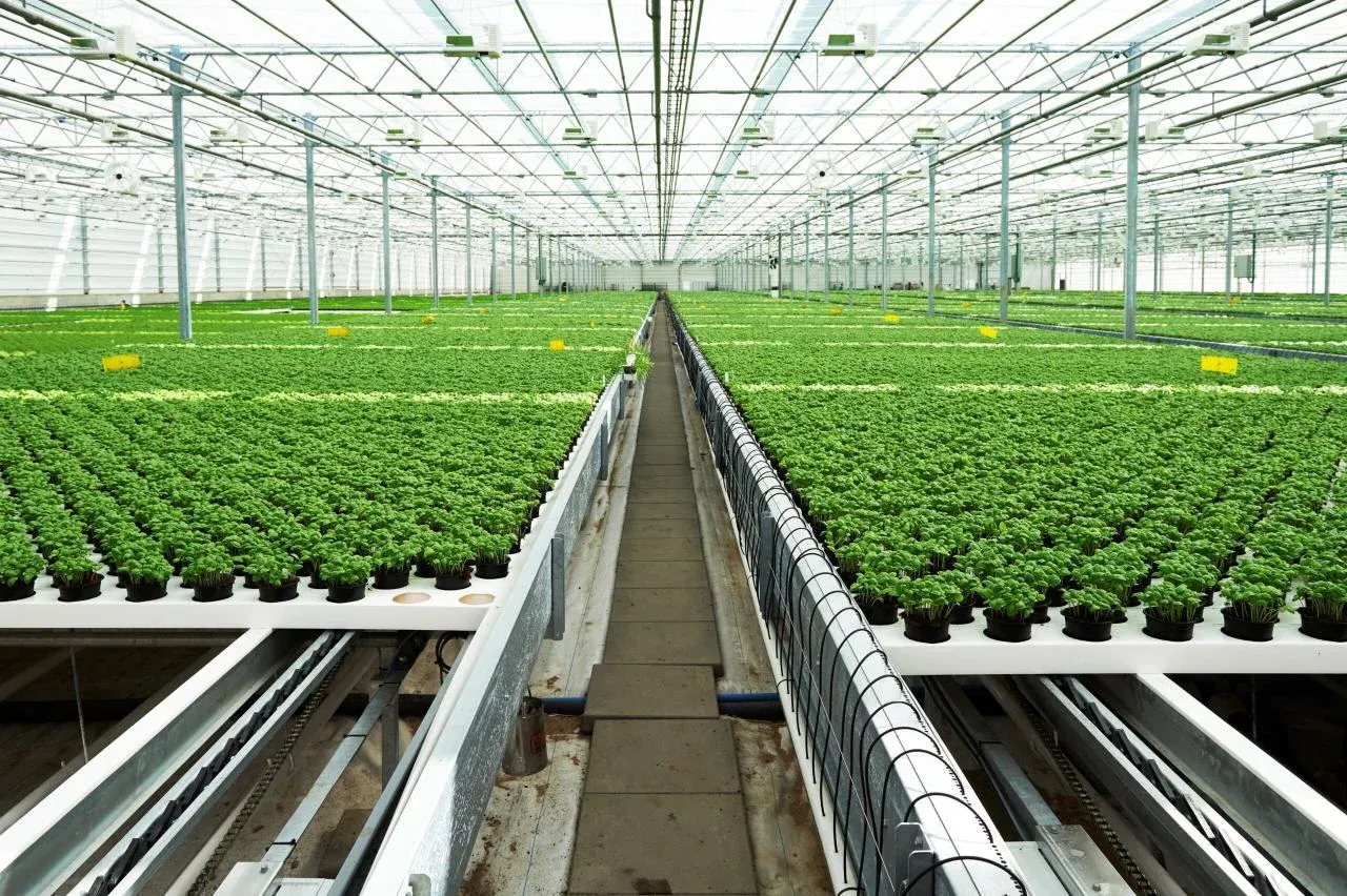 Angola vai ter o seu próprio Silicon Valley agrícola