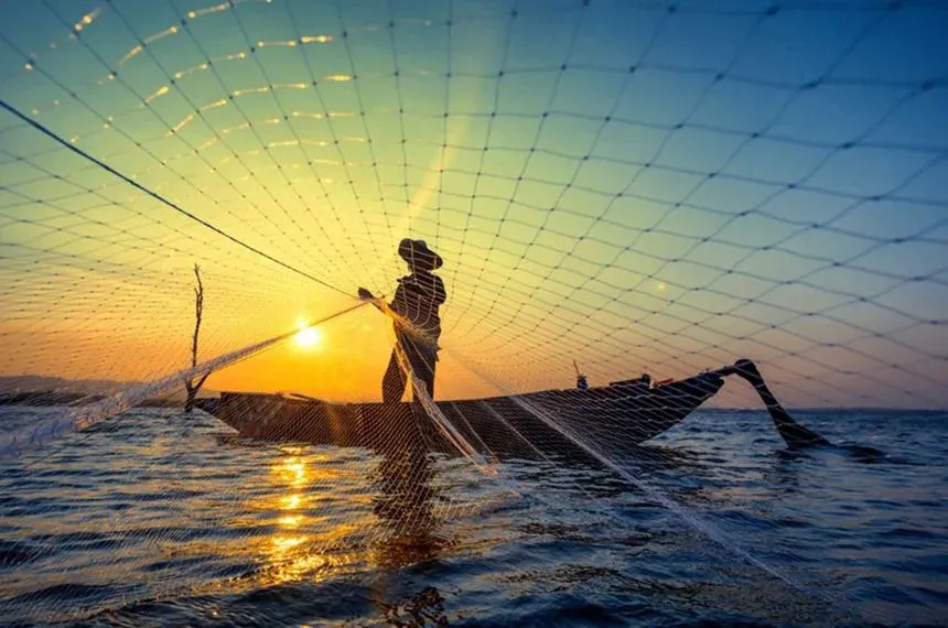 Fraude no sector das pescas poderá pôr em risco a saúde pública, a sustentabilidade dos oceanos e a confiança dos consumidores