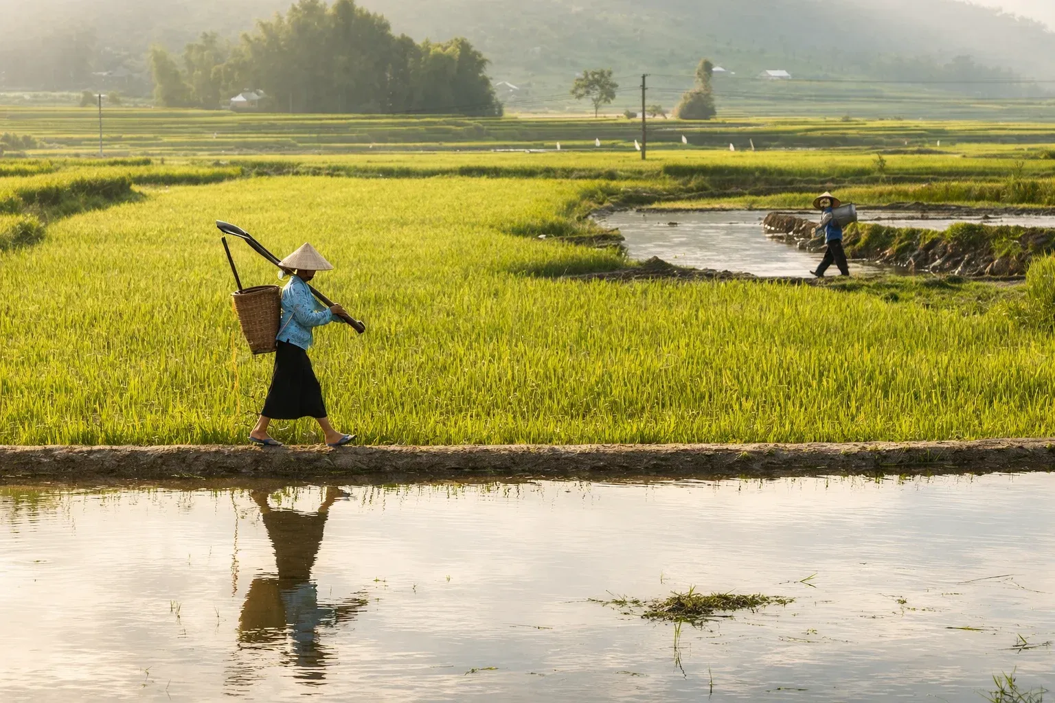 Angola estuda modelo vietnamita para transformar a sua agricultura