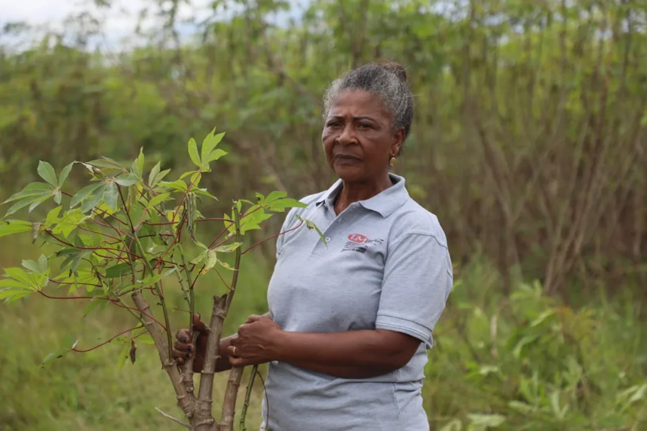 FAO distingue “Rainha da Mandioca” angolana