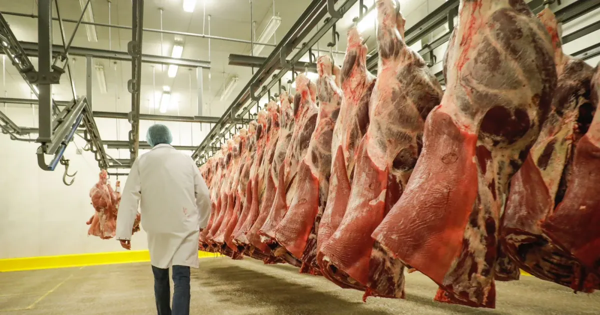 Angola anualmente mais de 200 milhões de dólares para importar carne
