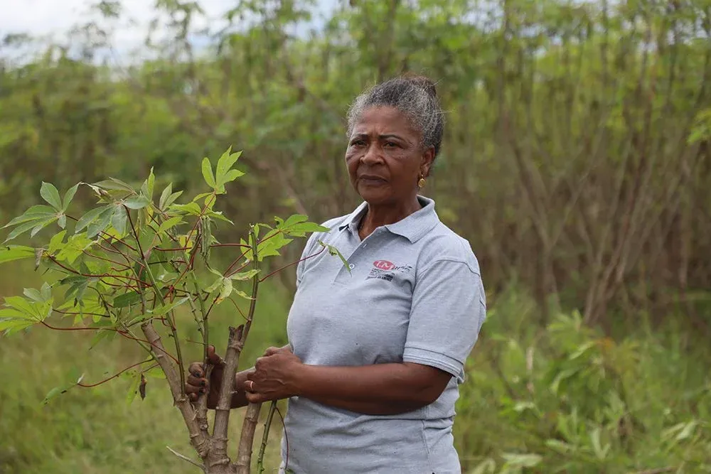 Ex-funcionária bancária é agora a ‘Rainha da Mandioca de Angola
